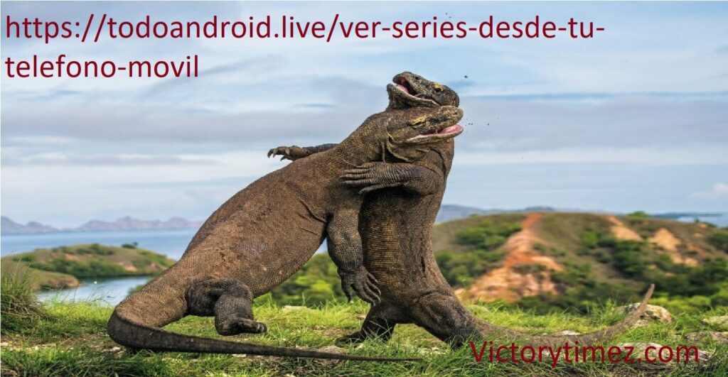 https://todoandroid.live/ver-series-desde-tu-telefono-movil