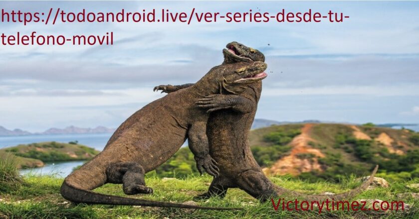 https://todoandroid.live/ver-series-desde-tu-telefono-movil