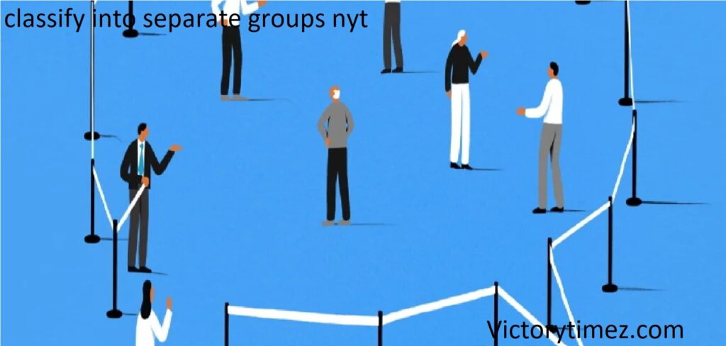 classify into separate groups nyt