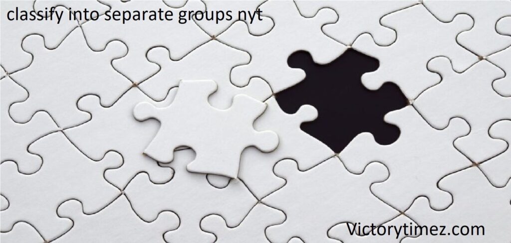 classify into separate groups nyt