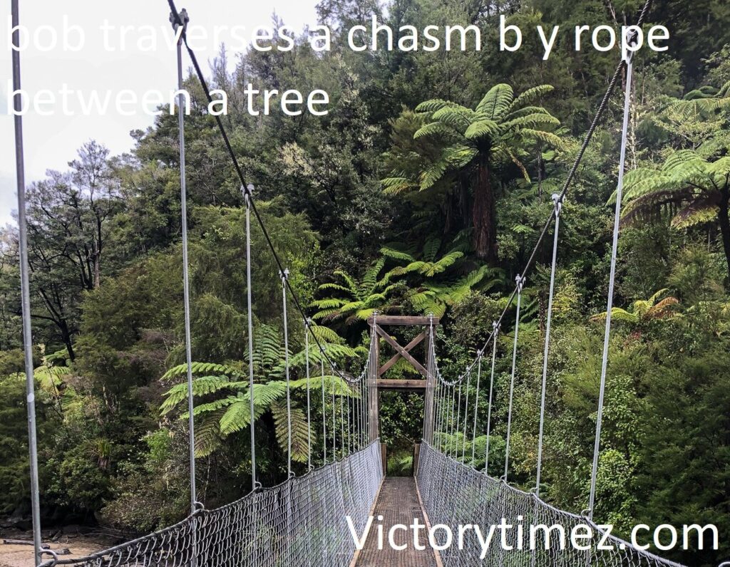 bob traverses a chasm b y rope between a tree