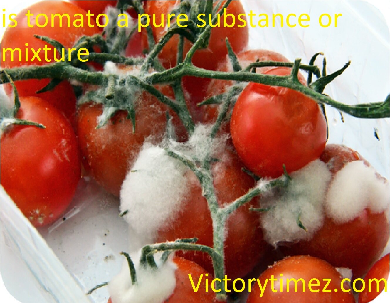 is tomato a pure substance or mixture