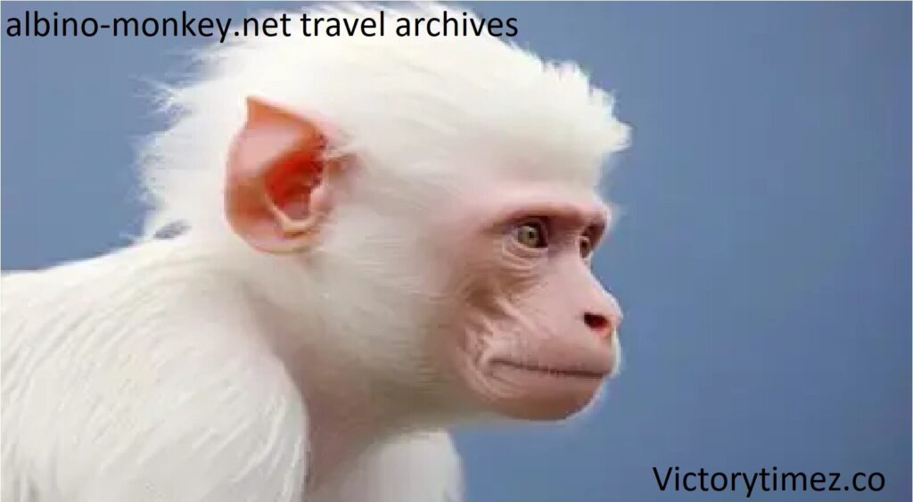 albino-monkey.net travel archives