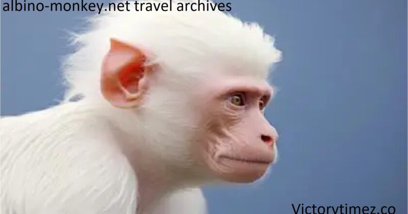 Albino-Monkey.Net Travel Archives: Explore Travel Experience