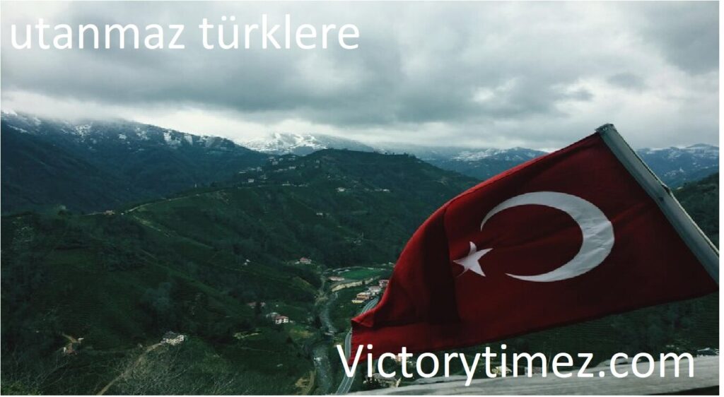 utanmaz türklere