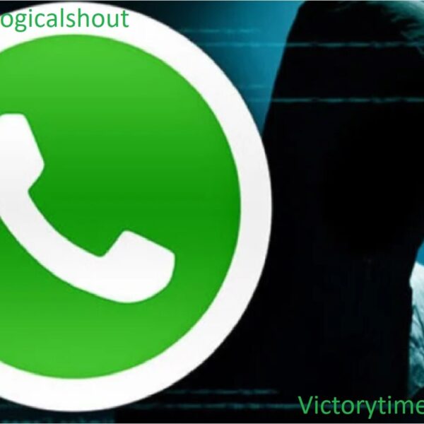 Whatsapp logicalshout: Everything You Need to Know