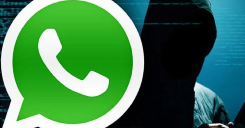 Whatsapp logicalshout: Everything You Need to Know